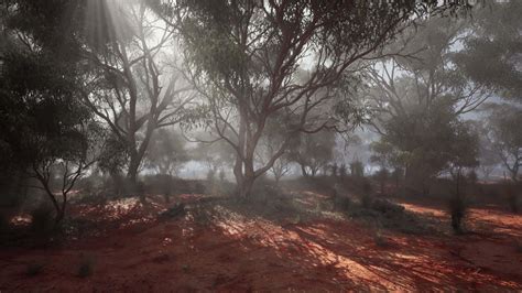 A Misty Forest With Dense Foliage And Towering Trees Stock