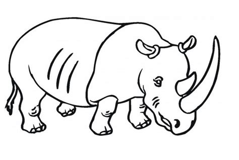 Rhino Coloring Page - coloring pages