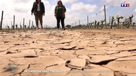 Replay Journal de TF1 du 18 04 2024 Sécheresse dans l Hérault