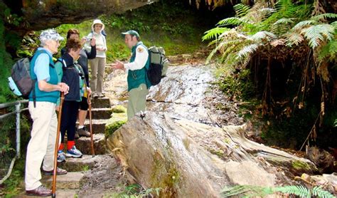 Grand Canyon Track Nsw National Parks