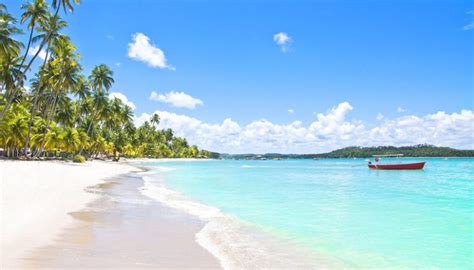 Praias Do Nordeste Praias Paradis Acas Que Voc Precisa Conhecer