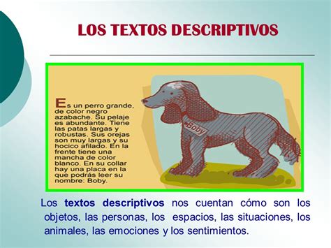 Ejemplos De Textos Descriptivos Cortos Para Niños De Primaria Actividad Del Niño