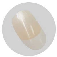 Lily Cm Ft B Cup Asian Hot Girl Doll HXDOLL