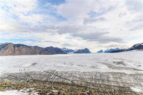 A Giant Arctic Ice Shelf Collapse — And A Quest For Answers The Narwhal