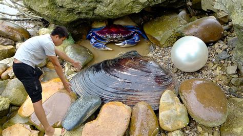 Treasures In River Clams The Magic Process Of Discovering Pearls Youtube