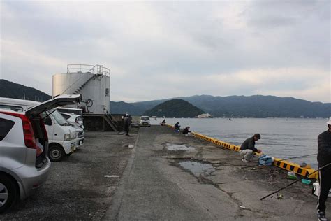 江浦港の詳細情報伊豆の釣果速報、おすすめ釣りスポットを詳しく写真で紹介