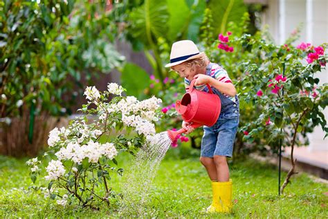 8 Outdoor Plants That Also Thrive Indoors | My Decorative