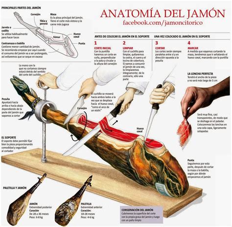 Exportando es gerundio Anatomía del jamón