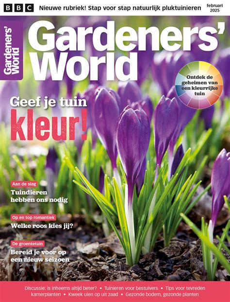 Rozen Snoeien Wanneer En Hoe Doe Je Dat Gardeners World