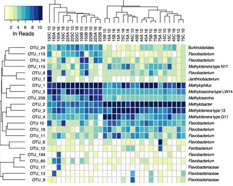 Heatmap Of Major Otu Relative Abundances Across Samples Abundances