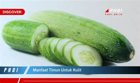 Ketahui 7 Manfaat Timun Untuk Kulit Yang Bikin Kamu Penasaran