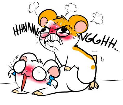 Rule 34 1boy 1girls Artist Request Bijou Blush Funny Hamster Hamtaro Hamtaro Series Sex