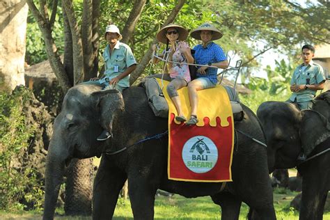 ELEPHANT BACK SAFARI - Diskova Bali