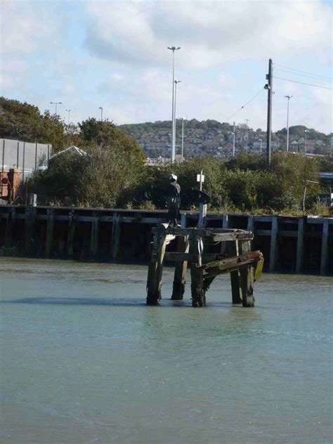 Commuters are reacting as newhaven updates its public transport 7