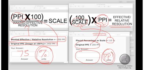 Diagram Of Final Exam Review Quizlet