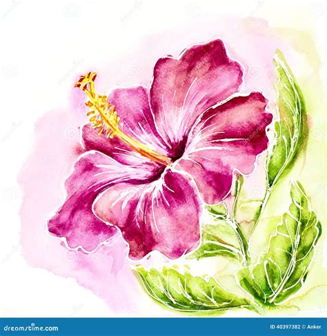 Pink Hibiscus Painting