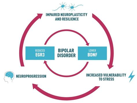 New Insight Into Bipolar Disorder Could Help Develop Treatment