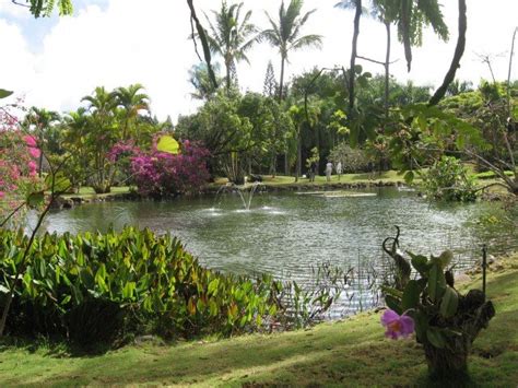 What To Do In Kauai - Na Aina Kai Botanical Gardens - Kilauea