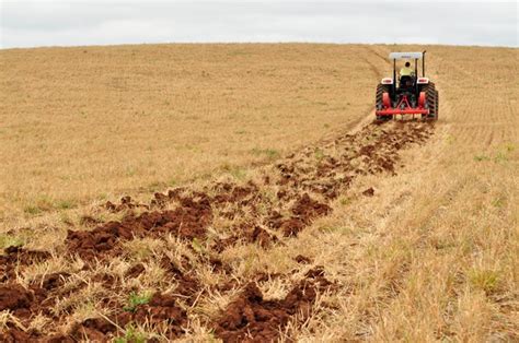 Cuidados A Compacta O Do Solo Revista Cultivar