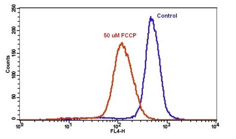 Cell Meter 线粒体膜电位近红外检测试剂盒 适合流式细胞检测 西安百萤生物科技有限公司