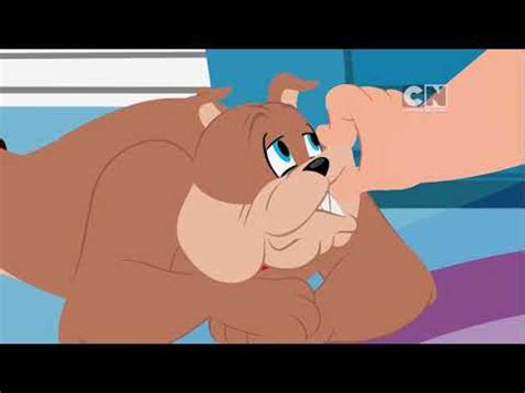 Tom And Jerry New Episode Youtube