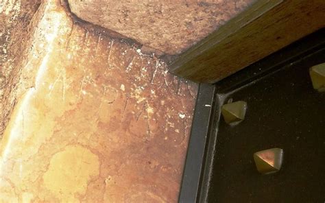 A Cat Is Sitting On The Ledge Of A Building Next To A Door With Rivets