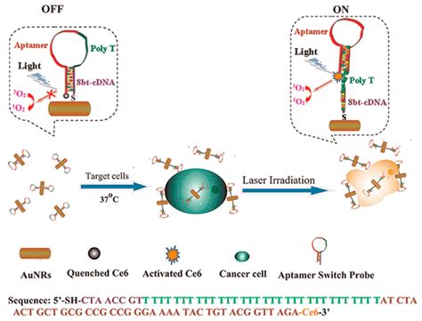 Ijms Free Full Text Progress And Challenges In Developing Aptamer