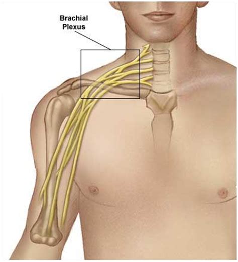 Cervical Nerve Stretch Syndrome Singapore Sports Orthopaedic Surgeon