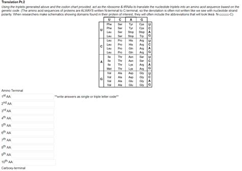 Solved Write out the complementary sequence to the DNA | Chegg.com