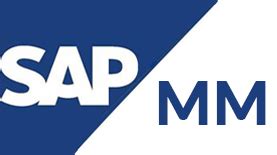 Sap Mm Gerenciamento De Materiais Jose Barrerito Pereira Hotmart