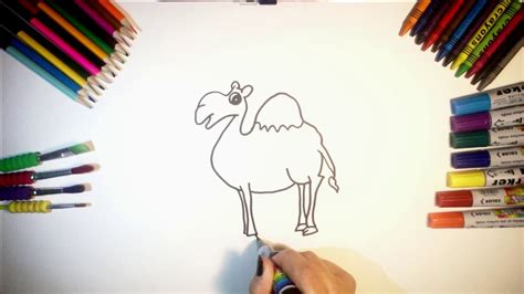 Learn How To Draw Cute Camel Youtube