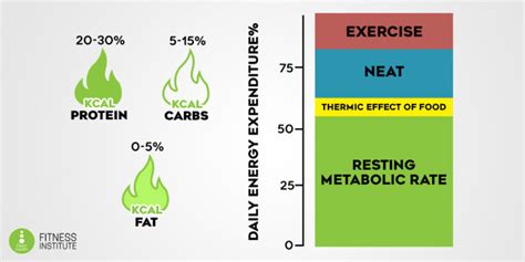 What is TEF and Why is it Important? - Clean Health