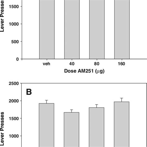 Effects Of Cannabinoid CB1 Receptor Antagonist Inverse Agonist AM251 On