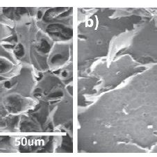 SEM Of The Tensile Fractured Surface Of PP PLA Oat Hull Composites A