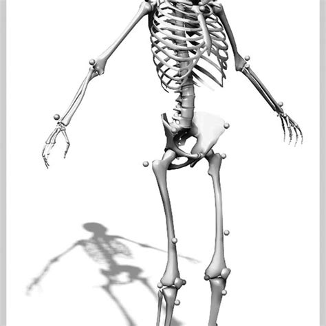 Joint rotation profile during cutting maneuvers. | Download Scientific ...