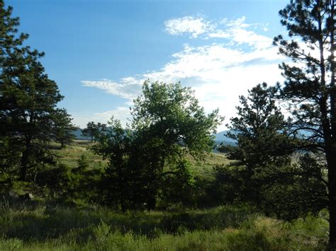 Bobcat Ridge Natural Area Loveland All You Need To Know