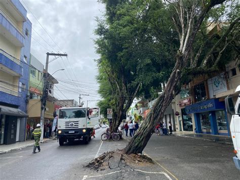 ÁRVORE É MELHOR PREVENIR DO QUE REMEDIAR 4º Poder