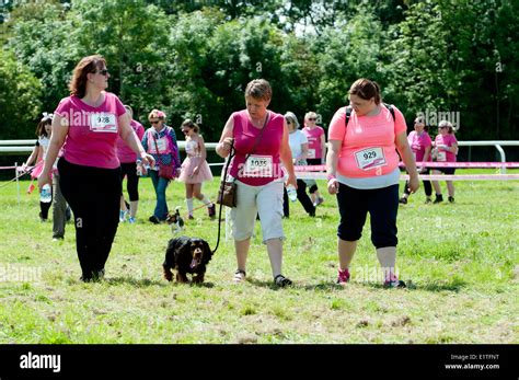 Race For Life Cancer Research Uk Charity Event Stock Photo Alamy