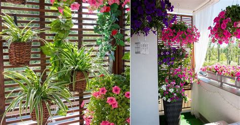 20 Enclosed Balcony Garden Ideas For Security And Privacy