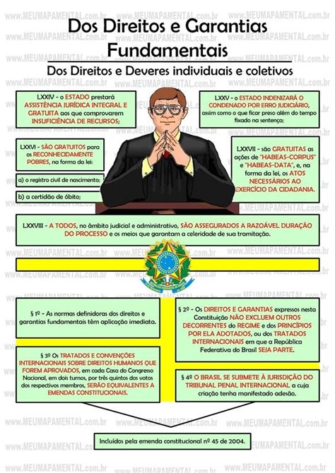 Artigo Da Constitui O Federal Em Mapas Mentais Meu Mapa Menta