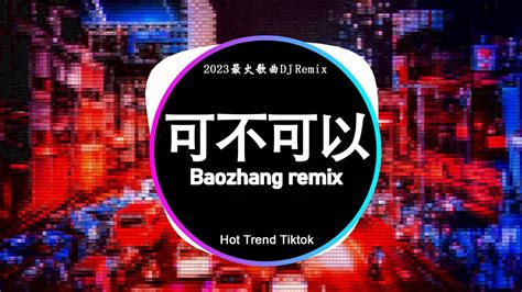 🔥2024夜店舞曲 重低音40首精选歌曲 超好听 ⚡2024最火歌曲dj Remix 抖音版 可不可以 張紫豪 柯柯柯啊 姑娘别