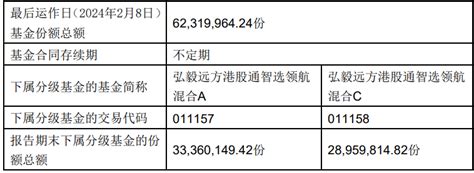 弘毅远方港股通智选领航混合清盘！仅1个多月遭遇赎回超2亿份，有大户持有约2年 6折 离场 每日经济网