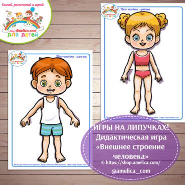 Дидактическая игра внешнее строение человека распечатать