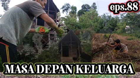 ALHAMDULILLAH BAHOK AR MULAI BELAJAR MENATA KEBUN UNTUK BERCOCOK