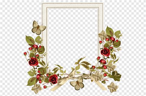 Frames Floral Design Garden Roses Wreath Flower Cadres Flower