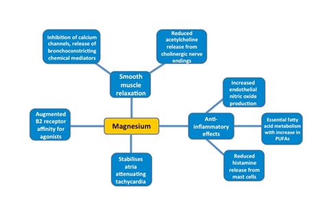 Asthma As Related To Magnesium Pictures