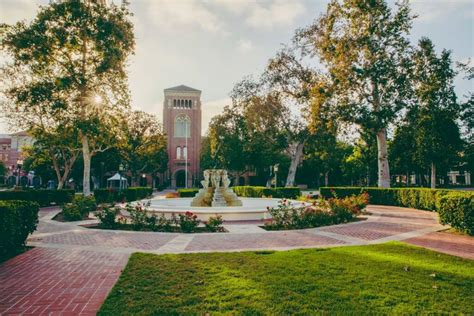 3 Best Places To Study Outside On Campus Usc Viterbi Undergraduate