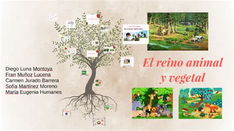 El Reino Animal Y Vegetal By On Prezi