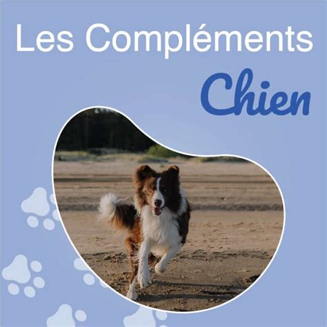 Compl Ments Alimentaires Pour Chien Choupetstore