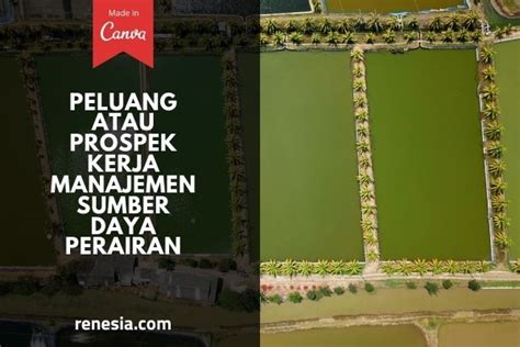 Peluang Kerja Manajemen Sumberdaya Perairan Materi Belajar Online